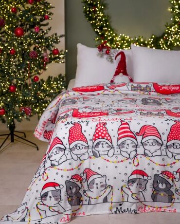 Pledlər: Yeni Mikrofiber Pled, Rayonlara çatdırılma — 27