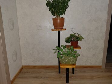 Bitkilər üçün dibçəklər: Taxta bitki stendləri və saksı dayaqları - Material: təbii ağac. Açıq — 9