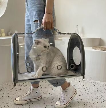 Зоотовары: Зоотовары.
Игрушки для животных — 20