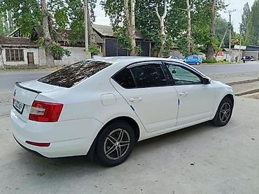 Skoda: Skoda Octavia: 2016 г., 1.6 л, Автомат, Бензин, Седан — 5