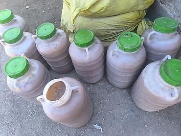 лук зеленый цена за 1 кг: Удобрение — 3