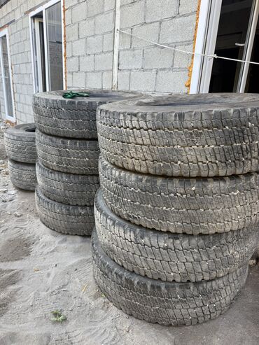 шины купить бишкек: Шиналар 315 / >80 / R 22,5, All-season, Колдонулган, Жүк ташуучу унаалар/Автобустар, Корея, Kumho