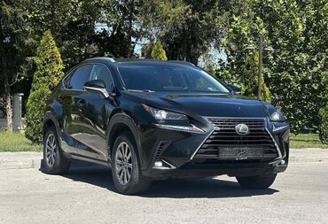 Lexus: Lexus NX: 2018 г., 2 л, Автомат, Бензин