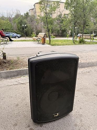 Динамики и колонки: Продаю! двухполосная акустическая система Soundking FP215. Есть торг — 1