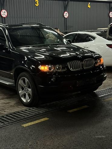 BMW: BMW X5: 2004 г., 3 л, Бензин — 2