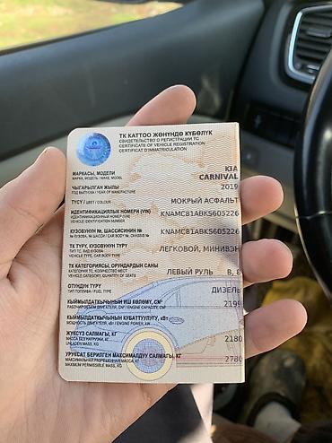 Kia: Kia Carnival: 2019 г., 2.2 л, Типтроник, Дизель, Минивэн — 10