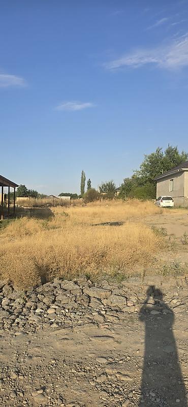 бутка бишкек: 8 соток, Бизнес үчүн, Кызыл китеп — 5