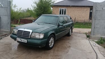 Mercedes-Benz: Mercedes-Benz W124: 1991 г., 2.9 л, Механика, Дизель, Универсал