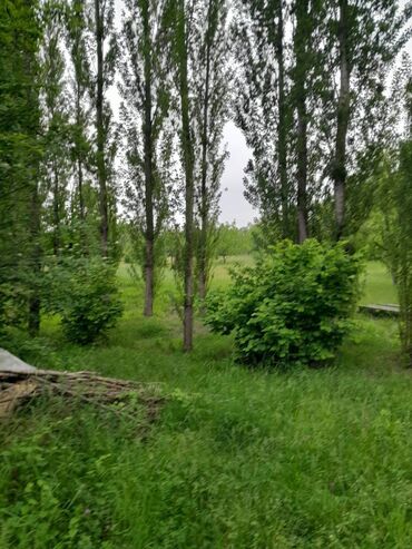 Тарелки: 75 соток, Для бизнеса, Риэлторам не беспокоить, Купчая