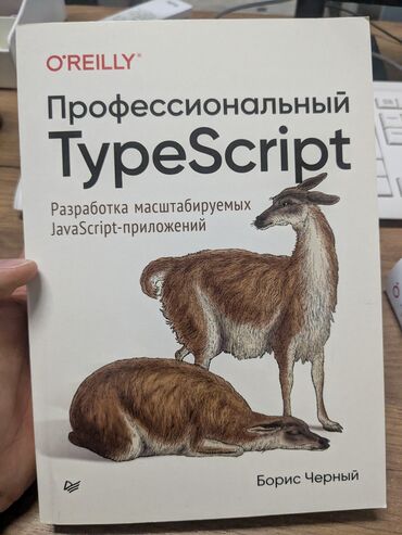 книга python: Книга Профессиональный ТуpeScript. Разработка масштабируемых