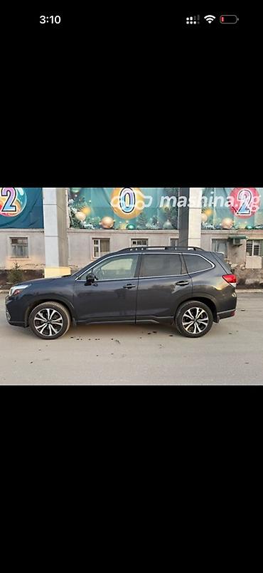 Subaru: Subaru Forester: 2019 г., Кроссовер — 9