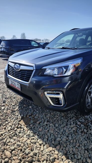 субаро форестер: Subaru Forester: 2019 г., 2.5 л, Автомат, Бензин, Кроссовер