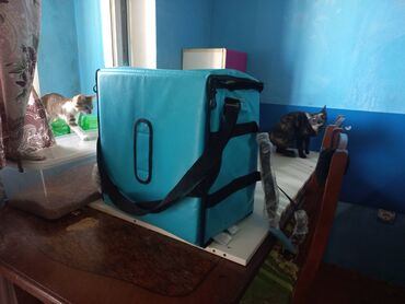 Wolt sumkasi teze