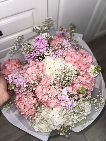 розовая женщина применение: Пышный букет гортензии 😍