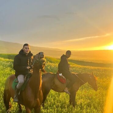 Туристические услуги: Конный Туризм Прокат лошадей обучения верховой езде организация — 4