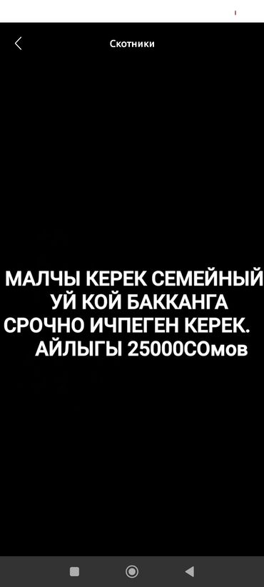 ночная смена официант: СЕМЕЙНЫЙ МАЛЧЫ КЕРЕК УЙ КОЙ КАРАГАНГА УЙ ШАРТТАРЫ БАРАЙЛЫК 25 МИН