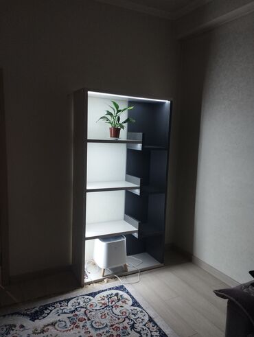 купить шкаф для папок в офис: Китеп текчеси, ЛДСП, Полго орнотулма, Өзү алып кетүү, Акысыз жеткирүү, Акылуу жеткирүү
