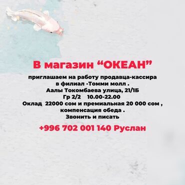 зонтик для кафе: Вакансия: продавец-кассир в магазин «ОКЕАН» (филиал Томми Молл)