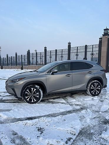 Lexus: Lexus NX: 2020 г., 2 л, Автомат, Бензин, Кроссовер — 2