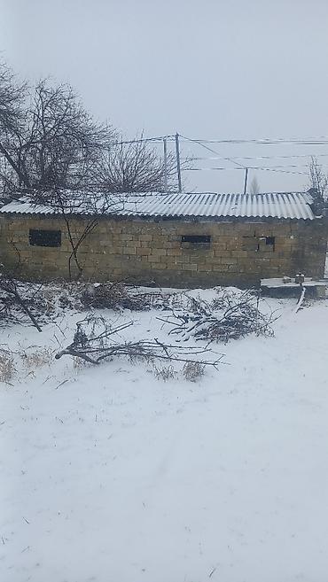 digah ev: 6 otaqlı, 150 kv. m, Kredit yoxdur, Orta təmir — 8