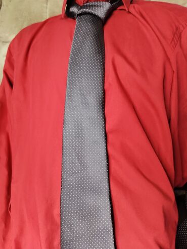 kosulja i kravata: Kravata siva