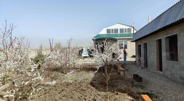 Продажа домов: Дом, 180 м², 5 комнат, Косметический ремонт — 7