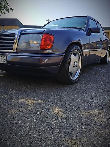 mebel sukan: Mercedes-Benz 260: 2.6 l | Sedan — 4