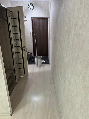 салкын: 1 комната, 45 м², Селекционное с. Элитка, 6 этаж, Евроремонт — 5