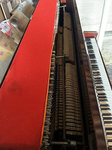 elektron pianolar: Piano, Belarus, Akustik, Yeni, Ünvandan götürmə — 4