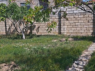 Torpaq: 8 sot, Makler, Kupça (Çıxarış) — 6