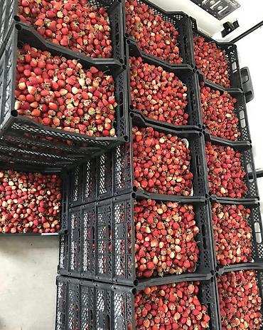 Ящики: Ящик, Новый — 9