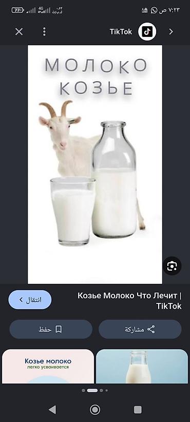 куриная печень: Козье молоко, Домашнее, В розницу — 1