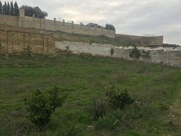 Torpaq sahələrinin satışı: 30 sot, Makler, Kupça (Çıxarış) — 3