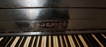 Akkordeonlar: Piano, Belarus, Akustik, İşlənmiş, Ünvandan götürmə