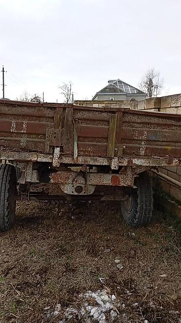 Lapetlər: SƏNƏDİ YOXDU — 2