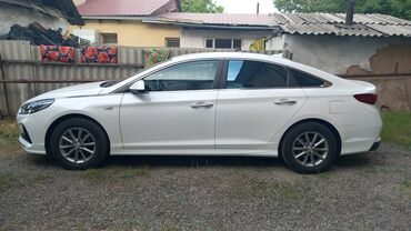 Hyundai: Hyundai Sonata: 2019 г., 2 л, Автомат, Газ, Седан — 2