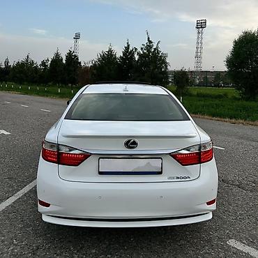 es300: Сдается в аренду Lexus Es 300, На посуточный и длительный срок. В — 7