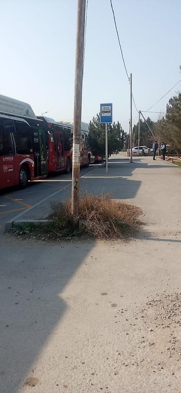 Torpaq sahələrinin satışı: 170 sot, Tikinti, Mülkiyyətçi, Bələdiyyə — 2