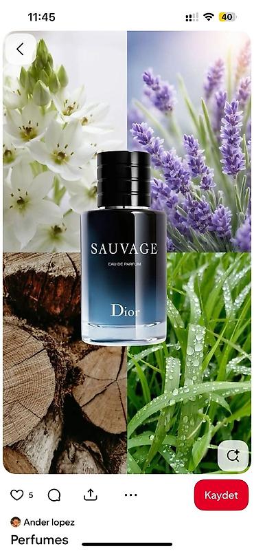 alt paltarları: 50 ml yağ əsaslı ətirlər - Növlər: Prada Paradoxe Intense, Giorgio — 6