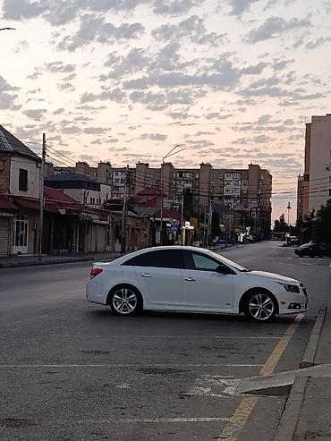 chevrolet cruze diffuser: Məhsul: Avtomobilin arxa asqı yayları (cüt) Təsvir: Cruze 2014 arxa — 4