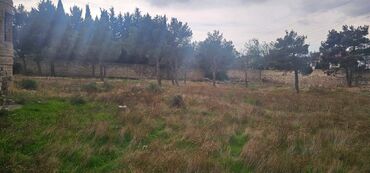 Torpaq sahələrinin satışı: 24 sot, Mülkiyyətçi, Kupça (Çıxarış) -da lalafo.az — 6 Torpaq sahələrinin satışı: 24 sot, Mülkiyyətçi, Kupça (Çıxarış) — 6