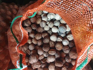 продаю грецкие орехи: Продаю грецкие орехи, сухие, вкусные, район ГЭС-2 имеется 15 мешков