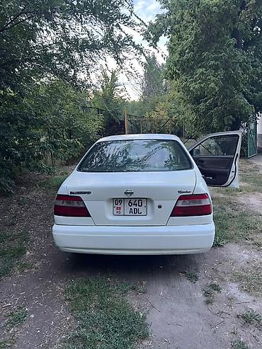 сильвия ниссан: Nissan Sylphy: 2000 г., 1.8 л, Автомат, Бензин, Седан — 3