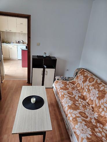 Kuća na dan: Jednosoban prizemni apartman/kućica sa dvorištem u samo centru grada u — 8