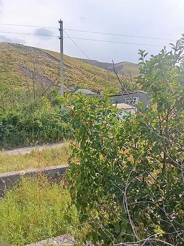 туп: 5 соток, Курулуш, Кызыл китеп — 10