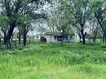 Torpaq sahələrinin satışı: Kənd təsərrüfatı, Kupça (Çıxarış) — 8