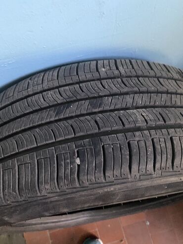 резина рекс: Шины 215 / 50 / R 17, Лето, Пара, Легковые, Nexen