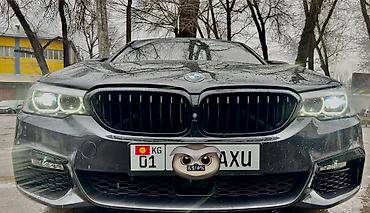 BMW: BMW 5 series: 2019 г., 3 л, Автомат, Бензин, Седан — 13