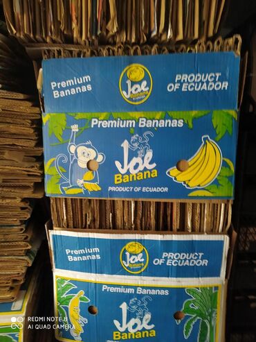 коробки для яиц: Коробки банановые 1000 штук