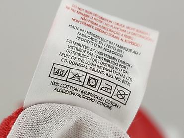carry bluzki: Fruit Of The Loom, T-shirt damski, rozmiar L — 6
